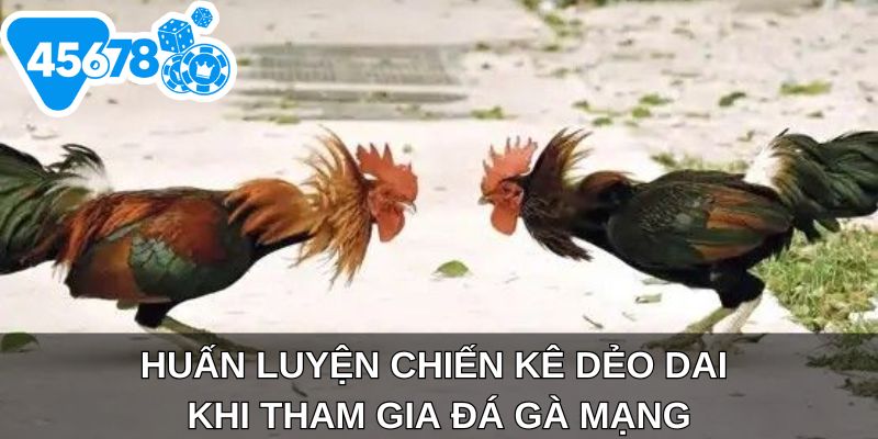 Huấn luyện chiến kê dẻo dai khi tham gia đá gà mạng