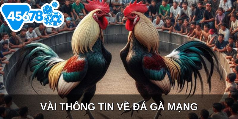 Vài thông tin về đá gà mạng