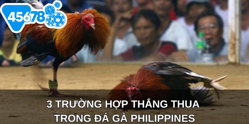 3 trường hợp thắng thua trong đá gà Philippines
