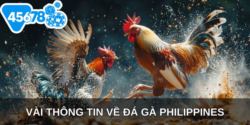 Vài thông tin về đá gà Philippines