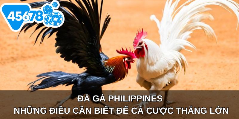 đá gà Philippines